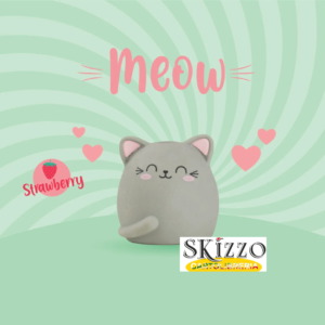 gomma profumata meow legami