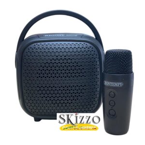 cassa e microfono wireless bontempi