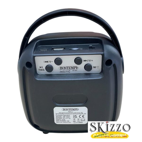 cassa e microfono wireless bontempi