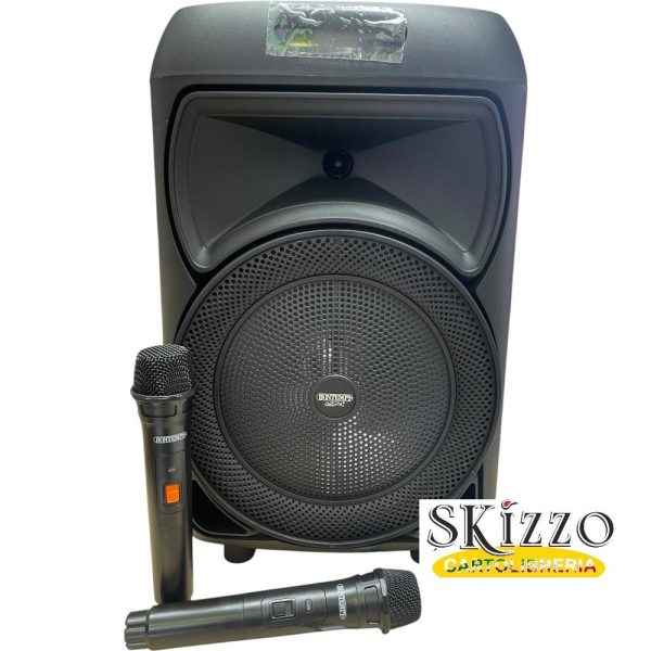 cassa karaoke bontempi