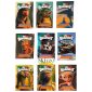 maxi quaderno skifidol brairot swipe